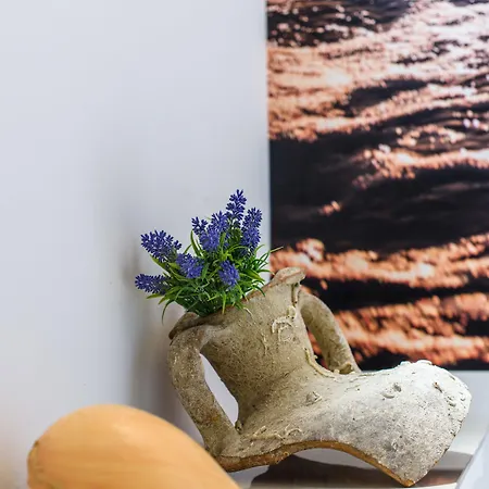 Jidro شقة فندقية تروغير